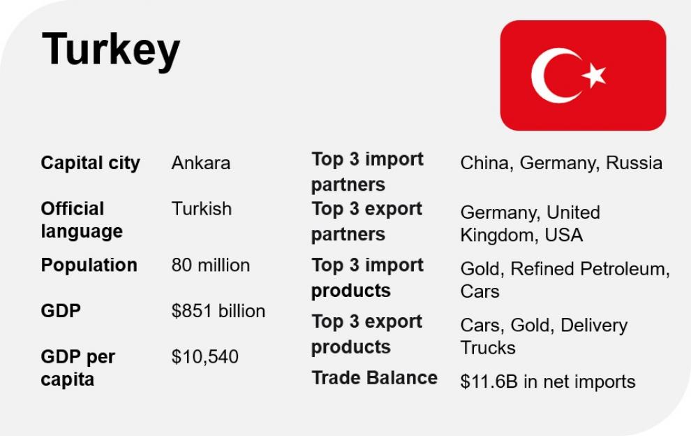 Import and export market in Turkey